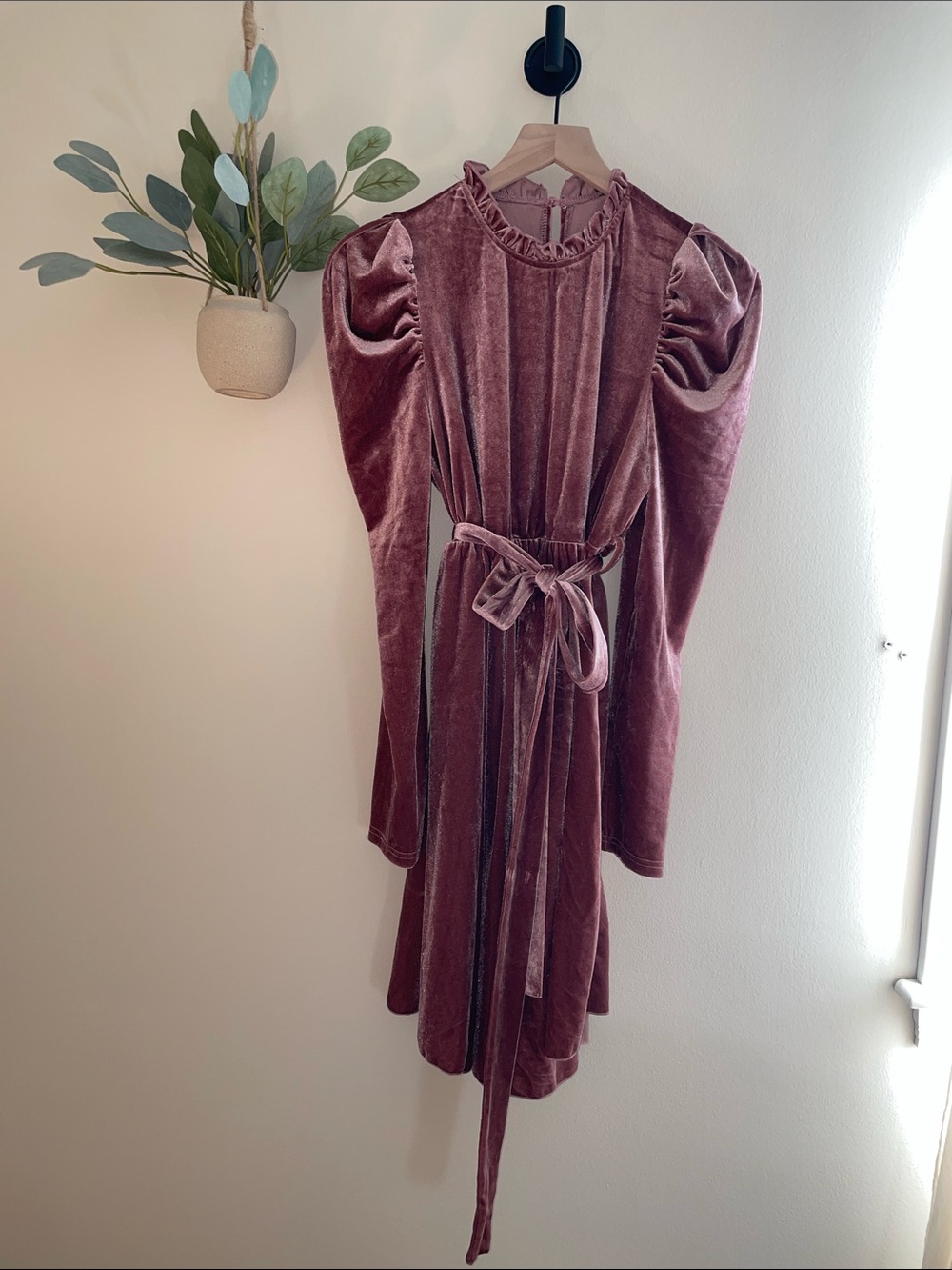 Maternity Velvet Dress